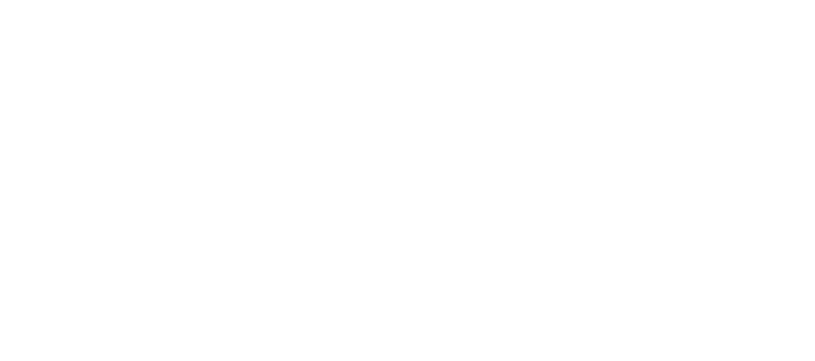 Voice-over Nienke logo white